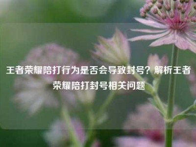 王者荣耀陪打行为是否会导致封号？解析王者荣耀陪打封号相关问题