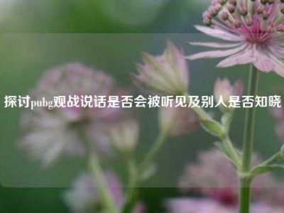 探讨pubg观战说话是否会被听见及别人是否知晓