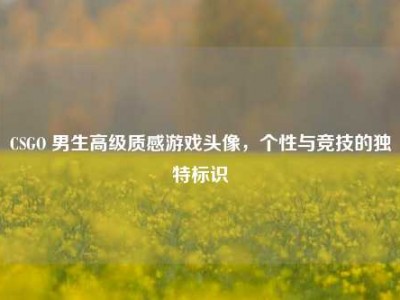 CSGO 男生高级质感游戏头像，个性与竞技的独特标识