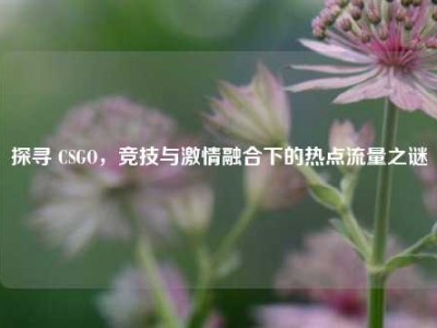 探寻 CSGO，竞技与激情融合下的热点流量之谜