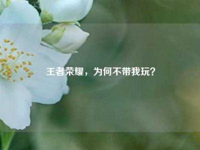 王者荣耀，为何不带我玩？