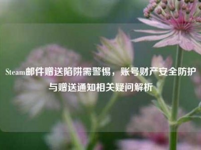 Steam邮件赠送陷阱需警惕，账号财产安全防护与赠送通知相关疑问解析