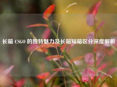长箱 CSGO 的独特魅力及长箱短箱区分深度解析