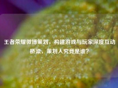 王者荣耀微博策划，构建游戏与玩家深度互动桥梁，策划人究竟是谁？
