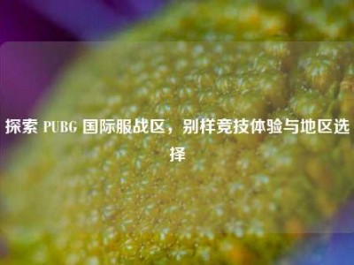 探索 PUBG 国际服战区，别样竞技体验与地区选择
