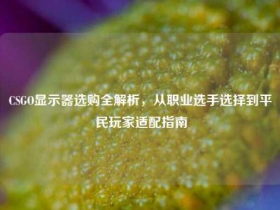 CSGO显示器选购全解析，从职业选手选择到平民玩家适配指南