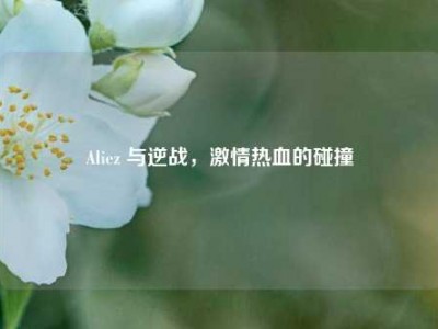 Aliez 与逆战，激情热血的碰撞