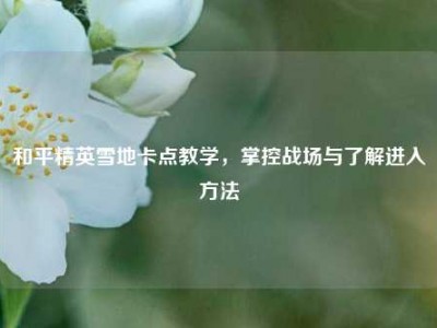 和平精英雪地卡点教学，掌控战场与了解进入方法