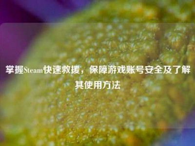 掌握Steam快速救援，保障游戏账号安全及了解其使用方法