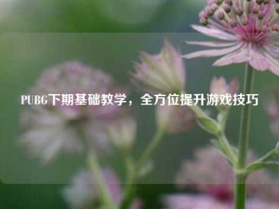 PUBG下期基础教学，全方位提升游戏技巧