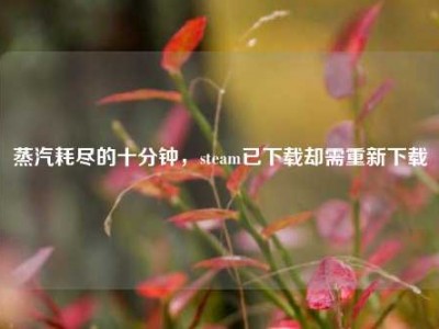 蒸汽耗尽的十分钟，steam已下载却需重新下载