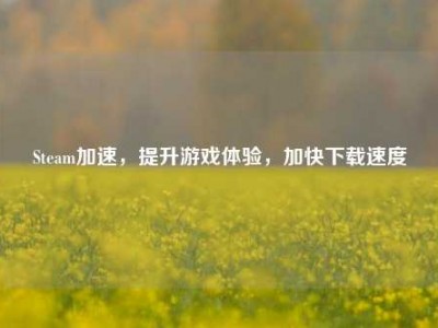 Steam加速，提升游戏体验，加快下载速度