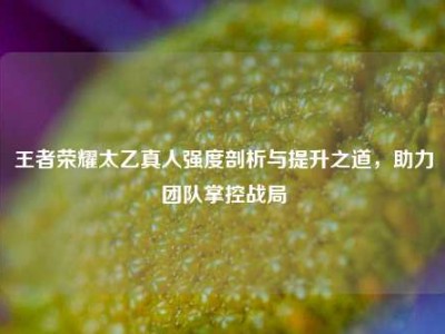 王者荣耀太乙真人强度剖析与提升之道，助力团队掌控战局
