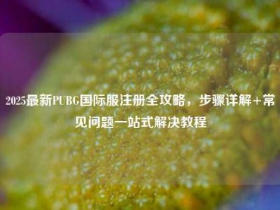 2025最新PUBG国际服注册全攻略，步骤详解+常见问题一站式解决教程