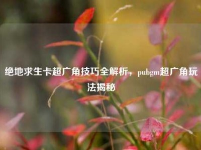 绝地求生卡超广角技巧全解析，pubgm超广角玩法揭秘