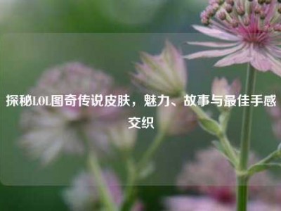 探秘LOL图奇传说皮肤，魅力、故事与最佳手感交织