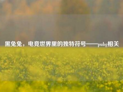 黑兔兔，电竞世界里的独特符号——pubg相关