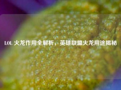 LOL 火龙作用全解析，英雄联盟火龙用途揭秘