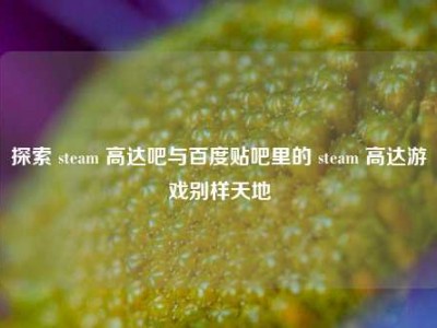 探索 steam 高达吧与百度贴吧里的 steam 高达游戏别样天地