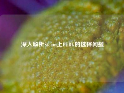 深入解析Steam上PUBG的选择问题