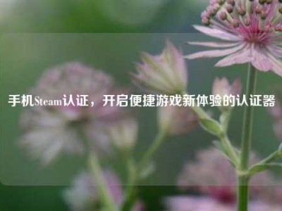 手机Steam认证，开启便捷游戏新体验的认证器