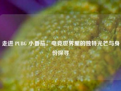 走进 PUBG 小番茄，电竞世界里的独特光芒与身份探寻