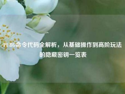 PUBG命令代码全解析，从基础操作到高阶玩法的隐藏密钥一览表
