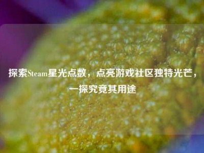 探索Steam星光点数，点亮游戏社区独特光芒，一探究竟其用途