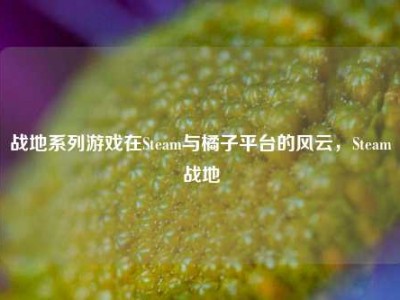 战地系列游戏在Steam与橘子平台的风云，Steam战地
