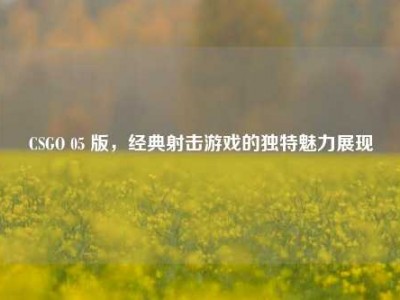 CSGO 05 版，经典射击游戏的独特魅力展现