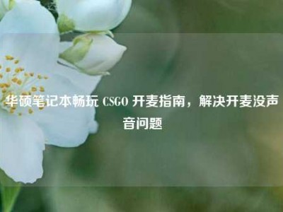 华硕笔记本畅玩 CSGO 开麦指南，解决开麦没声音问题