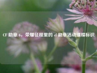 CF 勋章 6，荣耀征程里的 cf 勋章活动璀璨标识