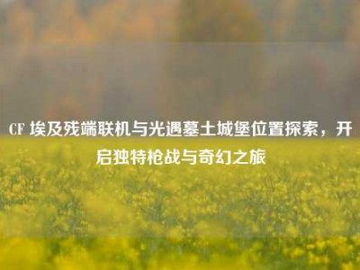 CF 埃及残端联机与光遇墓土城堡位置探索，开启独特枪战与奇幻之旅