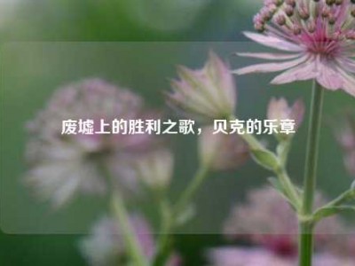 废墟上的胜利之歌，贝克的乐章