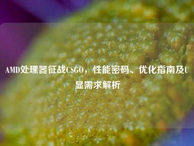 AMD处理器征战CSGO，性能密码、优化指南及U显需求解析