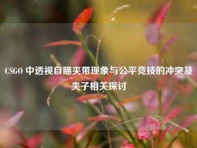 CSGO 中透视自瞄夹带现象与公平竞技的冲突及夹子相关探讨