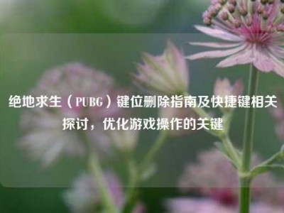 绝地求生（PUBG）键位删除指南及快捷键相关探讨，优化游戏操作的关键