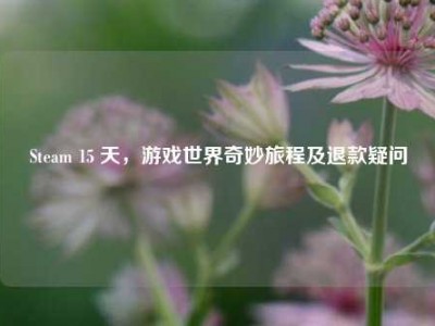 Steam 15 天，游戏世界奇妙旅程及退款疑问
