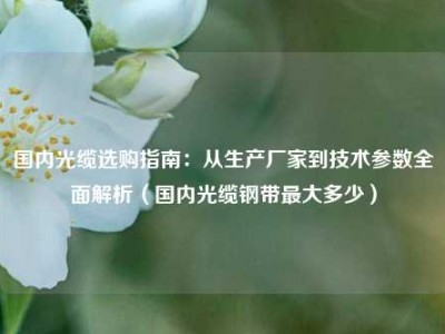 国内光缆选购指南：从生产厂家到技术参数全面解析（国内光缆钢带最大多少）