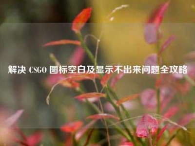 解决 CSGO 图标空白及显示不出来问题全攻略