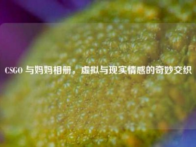 CSGO 与妈妈相册，虚拟与现实情感的奇妙交织