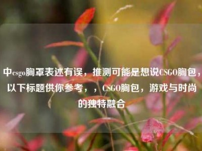中csgo胸罩表述有误，推测可能是想说CSGO胸包，以下标题供你参考，，CSGO胸包，游戏与时尚的独特融合