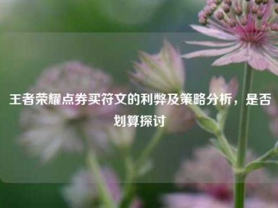 王者荣耀点券买符文的利弊及策略分析，是否划算探讨