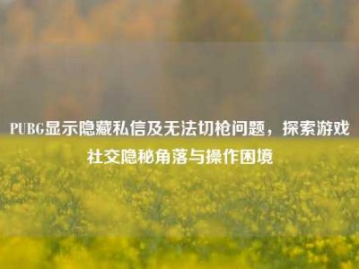 PUBG显示隐藏私信及无法切枪问题，探索游戏社交隐秘角落与操作困境
