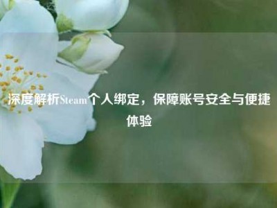 深度解析Steam个人绑定，保障账号安全与便捷体验