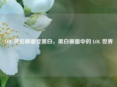 LOL 死后画面变黑白，黑白画面中的 LOL 世界