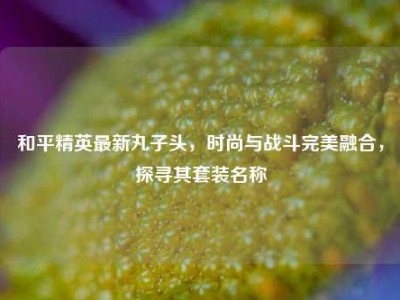 和平精英最新丸子头，时尚与战斗完美融合，探寻其套装名称