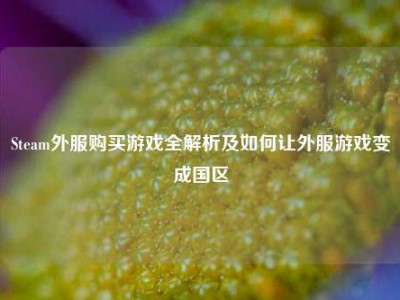 Steam外服购买游戏全解析及如何让外服游戏变成国区