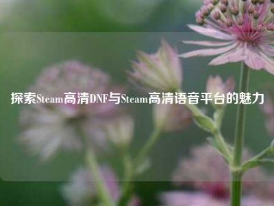 探索Steam高清DNF与Steam高清语音平台的魅力