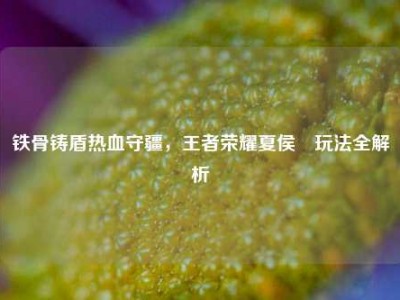 铁骨铸盾热血守疆，王者荣耀夏侯惇玩法全解析